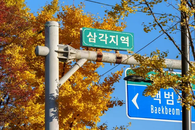 TOPIK 시험 준비 전략 가이드